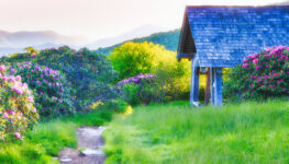 Craggy Gardens Shelter