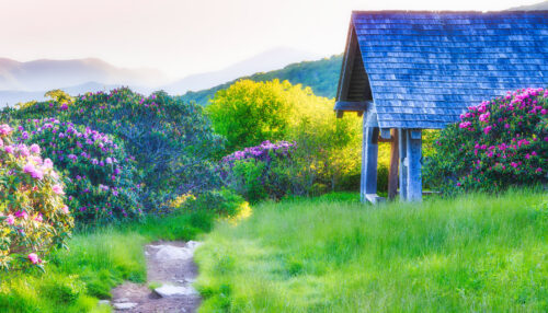 Craggy Gardens Shelter Jigsaw Puzzle