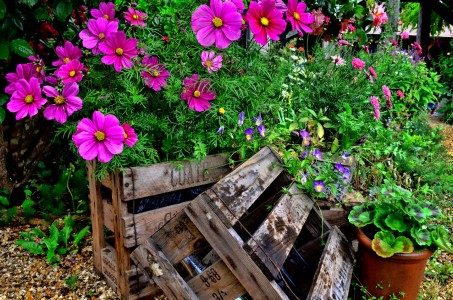 Crate of Cosmos Jigsaw Puzzle