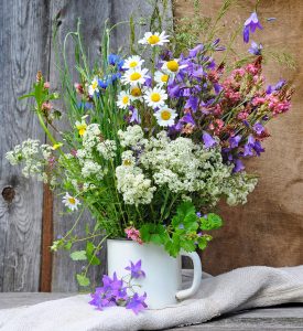 Cup of Wildflowers Jigsaw Puzzle