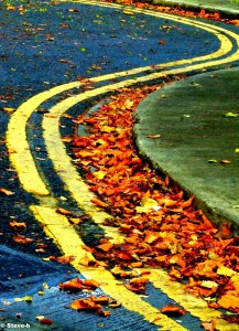 Curves in the Road Jigsaw Puzzle