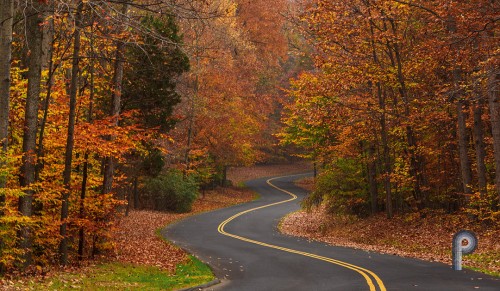 Curvy Road Jigsaw Puzzle