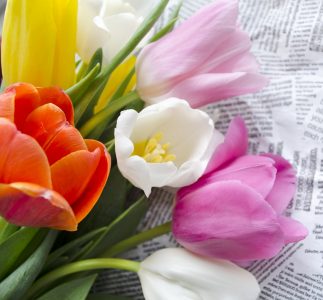 Cut Tulips Jigsaw Puzzle