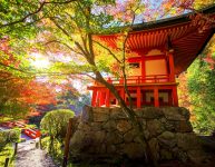 Daigo-ji Temple