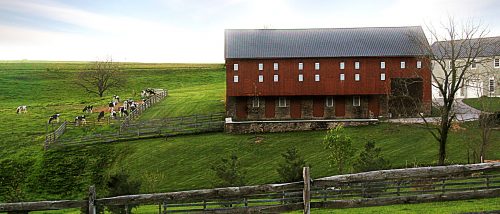 dairy farm jigsaw puzzle dairy farm jigsaw puzzle