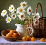 Daisies and Apricots