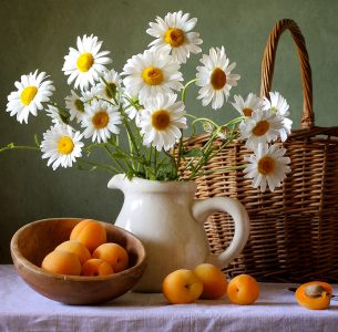 Daisies and Apricots Jigsaw Puzzle