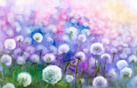 Dandelion Dreams Jigsaw Puzzle