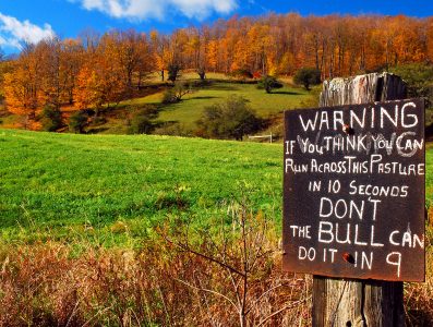 Dangerous Meadow Jigsaw Puzzle