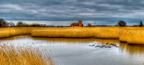 Danish Marsh Jigsaw Puzzle