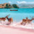 Deer on the Beach Jigsaw Puzzle