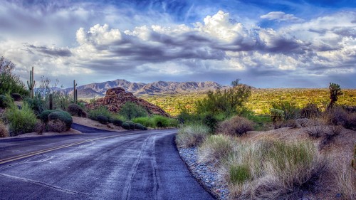 Desert Road Jigsaw Puzzle