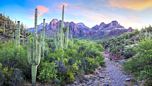 Desert Trail Jigsaw Puzzle