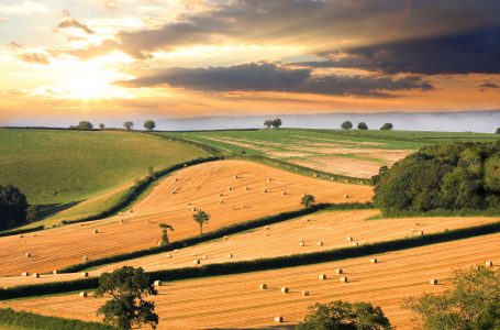 Devon Countryside Jigsaw Puzzle