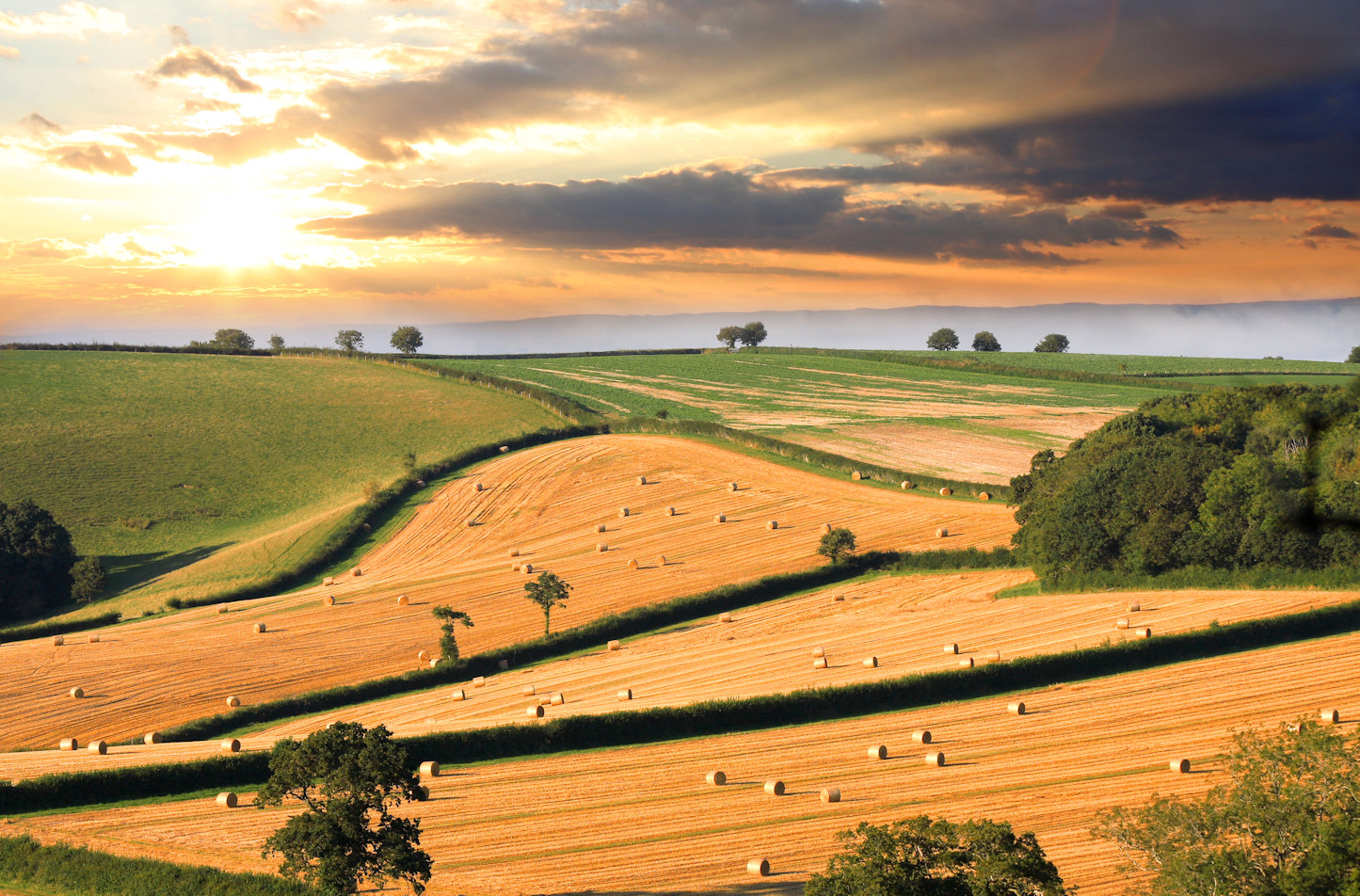 Devizes Countryside Devon Countryside Jigsaw Puzzle
