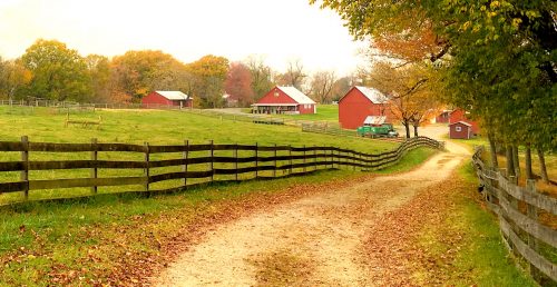 Dirt Road Jigsaw Puzzle