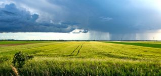 Distant Storm