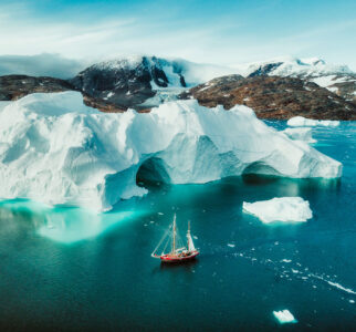 Dodging Icebergs Jigsaw Puzzle