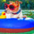 Dog Days of Summer Jigsaw Puzzle