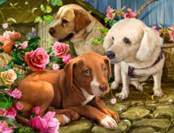 Dogs and Roses