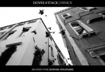 Doves Attack