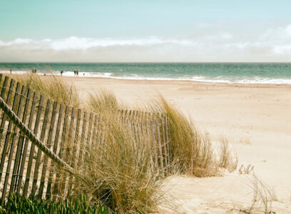 Dreaming of the Beach Jigsaw Puzzle