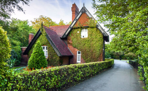 Dublin Cottage Jigsaw Puzzle