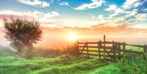 Dutch Countryside