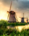 Dutch Windmills
