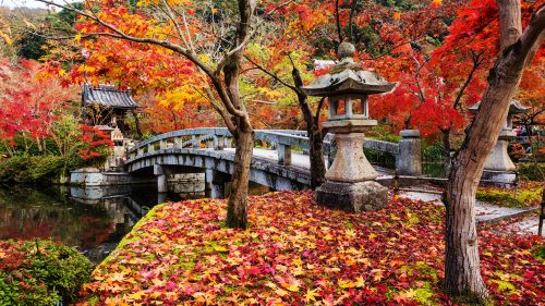 Eikando Bridge Jigsaw Puzzle