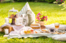 Elegant Picnic