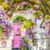 Enchanted Entry Jigsaw Puzzle