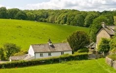 English Sheep Farm