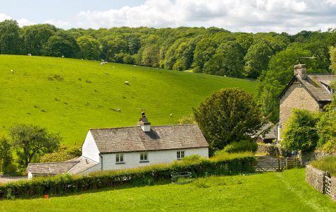 English Sheep Farm Jigsaw Puzzle