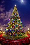 Epcot Christmas Tree