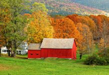 Fall Barn