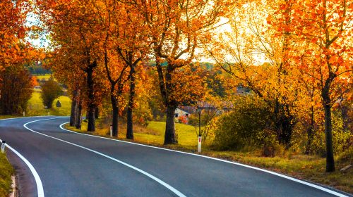 Fall Colors Drive Jigsaw Puzzle