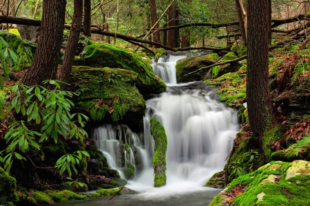 Fall Creek Jigsaw Puzzle