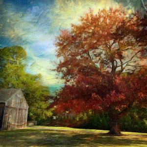 Fall Dream Jigsaw Puzzle