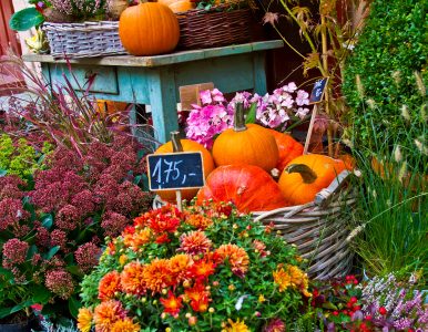 Fall Plant Sale Jigsaw Puzzle