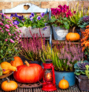 Fall Planting Jigsaw Puzzle