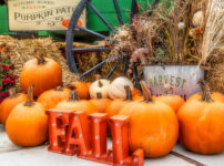 Fall Pumpkins