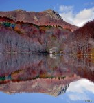 Fall Reflection