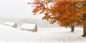 Fall Snow