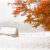 Fall Snow Jigsaw Puzzle