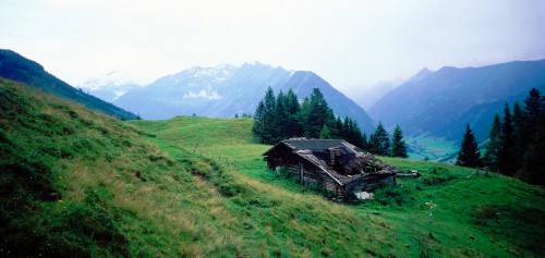 Fallen Cabin Jigsaw Puzzle