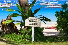 Falling Coconuts