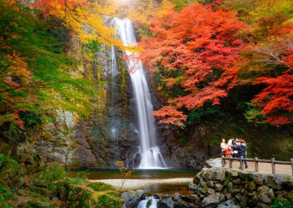 Falling Water Jigsaw Puzzle