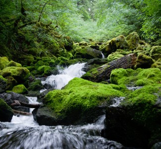 Falls Creek Jigsaw Puzzle