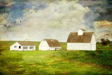 Farm Buildings